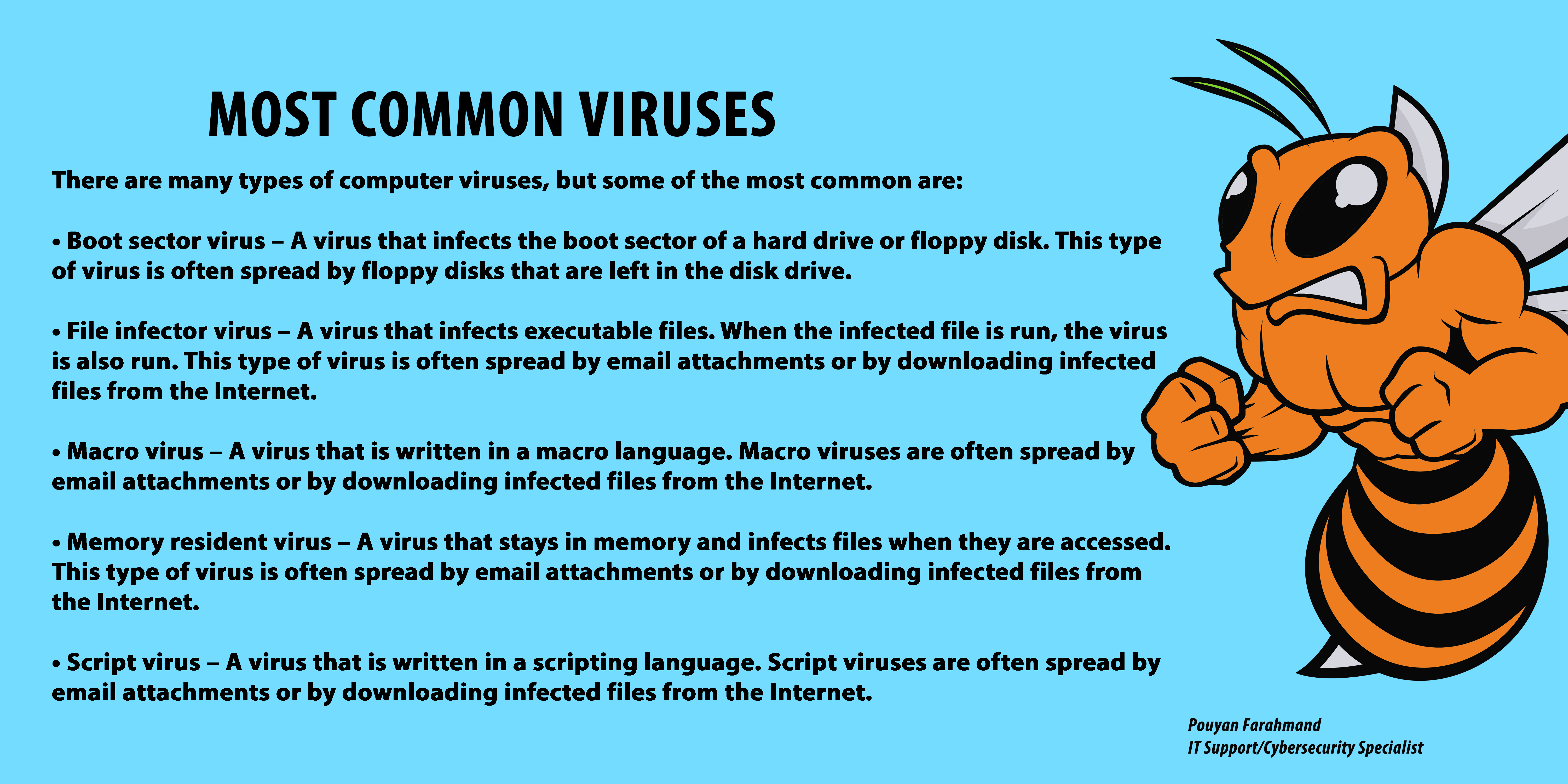 Most Common Computer Viruses Farahmand 0308