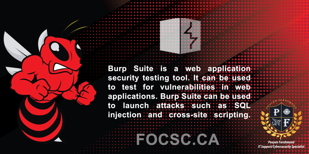 Burp Suite