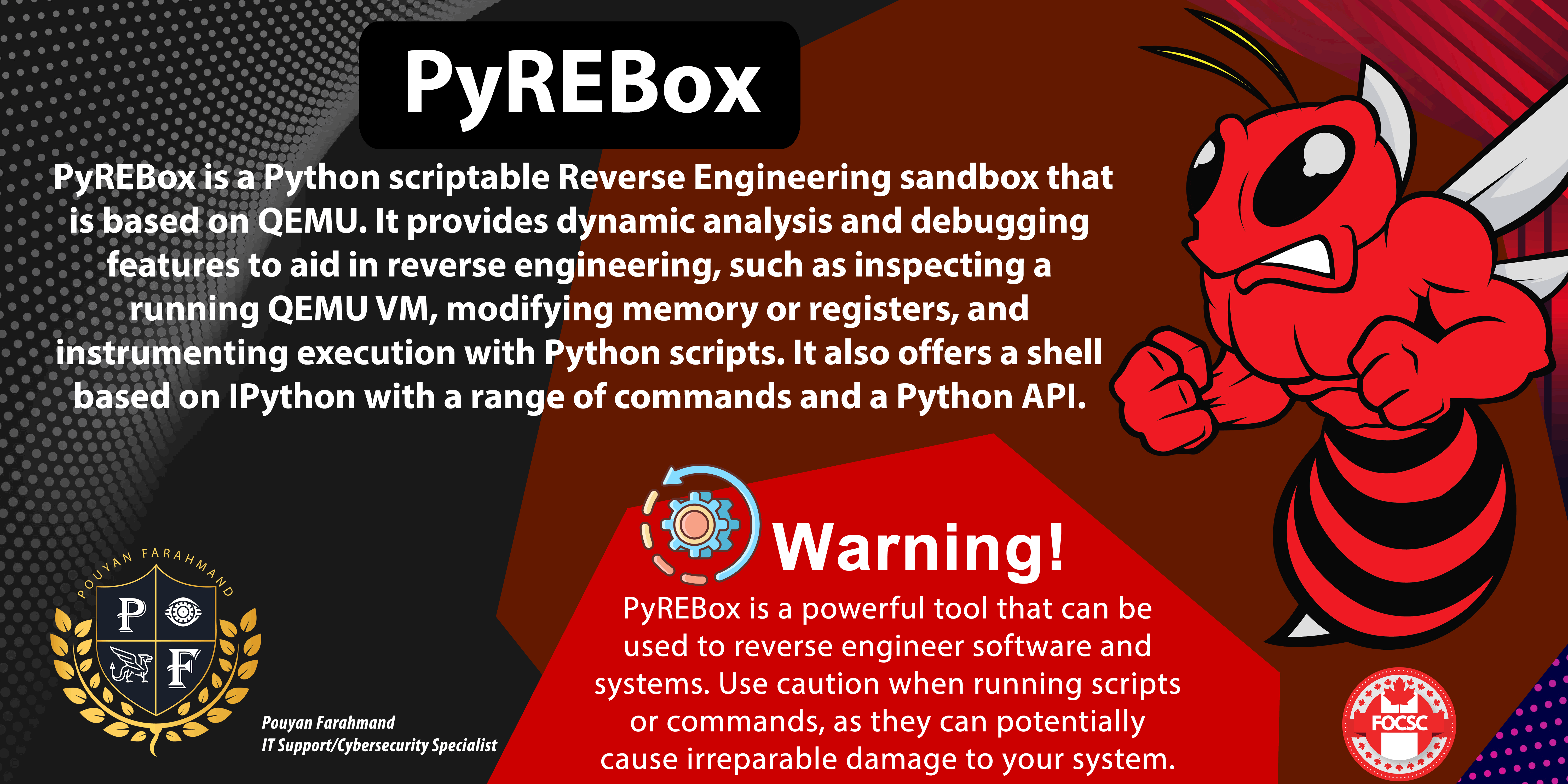 PyREBox